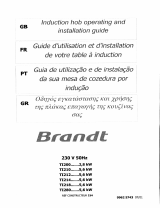 Groupe Brandt TI210BT1 Manuale del proprietario