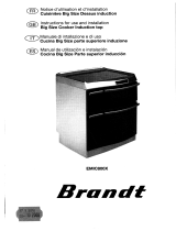 Groupe Brandt EMIC800X Manuale del proprietario