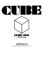 Roland CUBE-100 BASS Manuale del proprietario