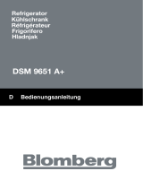 Blomberg DSM 9651 A+ Manuale utente