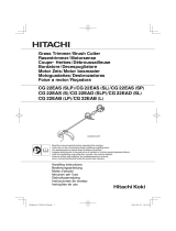 Hitachi CG 22EAS (SL) Manuale utente