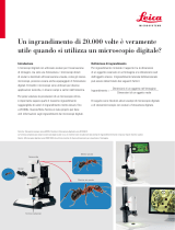 Leica Microsystems DMS300 Application Note