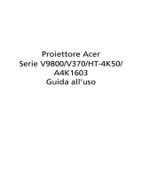 Acer V9800 Manuale utente