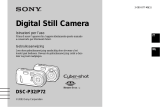 Sony Cyber-shot DSC-P32 Manuale del proprietario