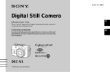 Sony DSC-V1 Manuale del proprietario