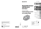 Sony DCR-SR100E Istruzioni per l'uso