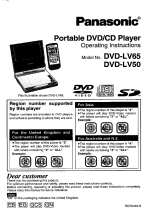 Panasonic DVDLV65 Istruzioni per l'uso