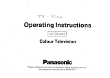 Panasonic TX2044 Istruzioni per l'uso