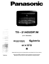 Panasonic TX21AD2DPM Istruzioni per l'uso