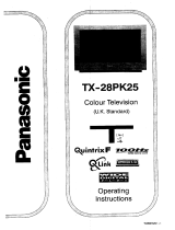 Panasonic TX28PK25 Istruzioni per l'uso