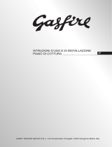 Gasfire GPF57SX Manuale utente
