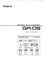 Roland GR-09 Manuale utente