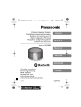 Panasonic SC-RB5E Manuale del proprietario