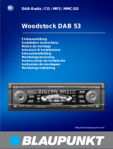Blaupunkt WOODSTOCK DAB53 Manuale del proprietario