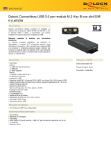 DeLOCK 63172 Scheda dati