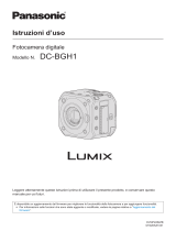 Panasonic DCBGH1E Istruzioni per l'uso