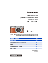 Panasonic DCGX880EF Istruzioni per l'uso