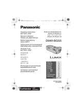 Panasonic DMWBGS5GD Istruzioni per l'uso