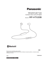 Panasonic RPHTX20BE Istruzioni per l'uso