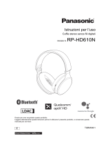 Panasonic RPHD610NE Istruzioni per l'uso