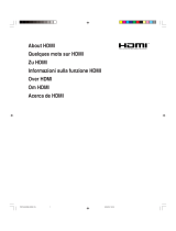 Pioneer HDMI TM (PDP-504/434HDE) Manuale del proprietario
