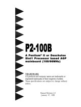 EPOX P2-100B Manuale utente