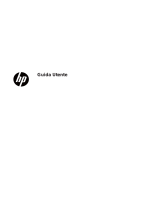 HP P174 17-inch Monitor Manuale del proprietario