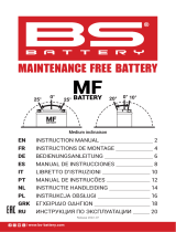 BS BATTERY 2022-07 Lithium Battery Manuale utente