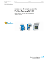 Endres+Hauser Proline Promag W 500 Istruzioni per l'uso