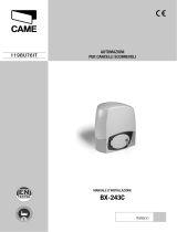 CAME BX-243C, BX-243C110 Guida d'installazione