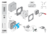 CAME TSP00, 119RIR236 Guida d'installazione