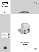CAME BX-243V, BX-243V110 Guida d'installazione