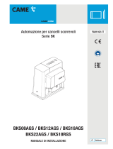 CAME BKS08AGS/12AGS/18AGS/22AGS Guida d'installazione