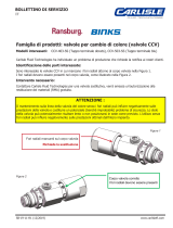 Carlisle Ransburg BINKS - CCV Valves Manuale utente