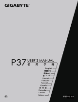 Gigabyte P37X V6 Manuale del proprietario