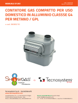 Tecnosystemi Compact gas meter Manuale del proprietario