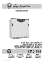 LAMBORGHINI CALORECLIMA ERA 31 B 60 Installation and Maintenance Manual