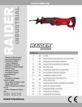 Raider IndustrialRDI-RS30