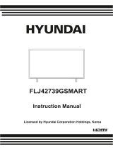 Hyundai FLJ42739GSMART Manuale utente