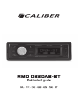 Caliber RMD-033DAB-BT Guida utente