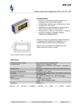 WURM DSP-LCD Informazioni sul prodotto