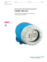 Endres+Hauser BA iTEMP TMT162 Istruzioni per l'uso